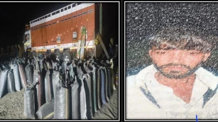 WhatsApp Image 2026-01-30 at 8.04.29 PM-TLnWKhpHua.jpeg